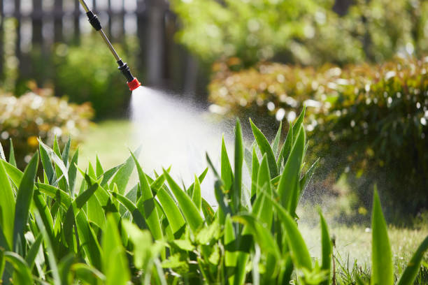 Tamper-Resistant Bait Stations for Rodents in Arcola