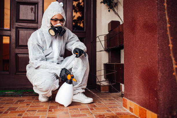 Attic and Crawl Space Rodent Treatment in Arcola