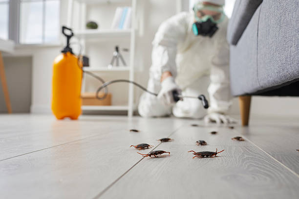 Commercial Rodent Management in Arcola